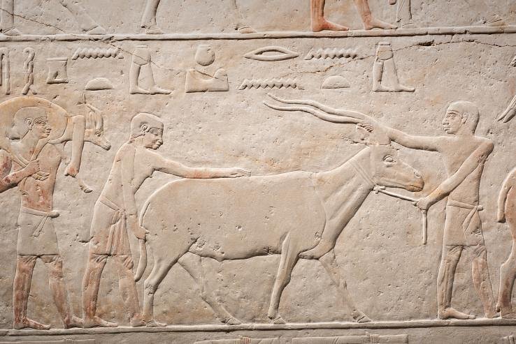 The Louvre Mastaba Chapel has taken a step forward
