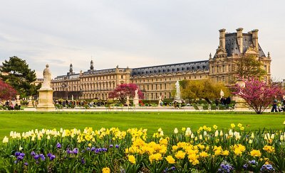 marvelous-spring-tuileries-garden-view-louvre-palace-paris-france-april-2019