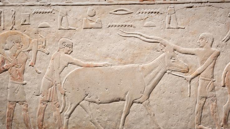 The Louvre Mastaba Chapel has taken a step forward